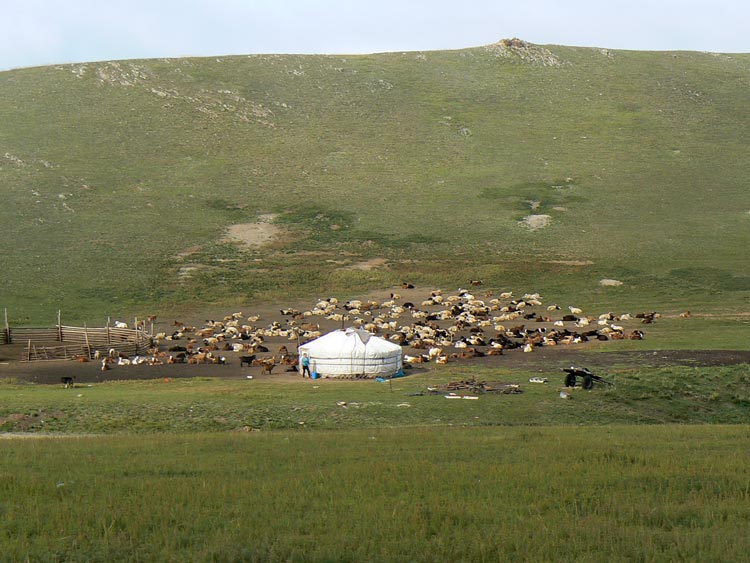 Mongolei